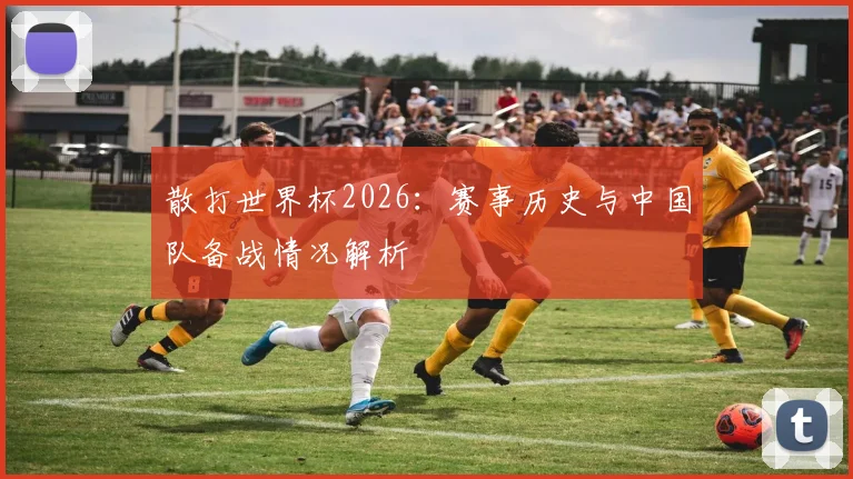 散打世界杯2026：赛事历史与中国队备战情况解析